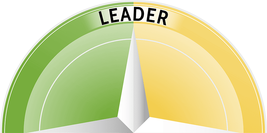 obere Hälfte des Agile Leadership Kompasses