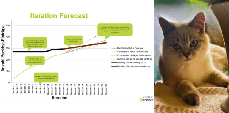 Titelbild Daniels Team Forecaster: Graph neben Katzenfoto