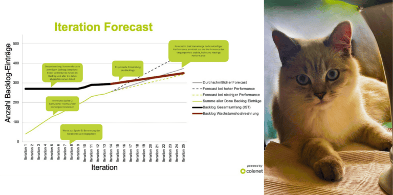 Graph aus dem Tool "Daniels Team Forecaster" mit Bild einer Katze